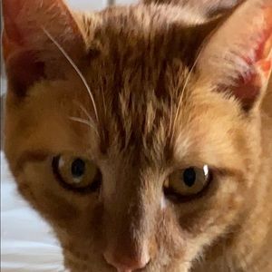 Meet your Posher, Dylan